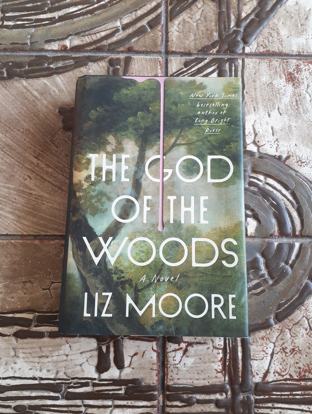 The God of the Woods by Liz Moore (Hardcover)